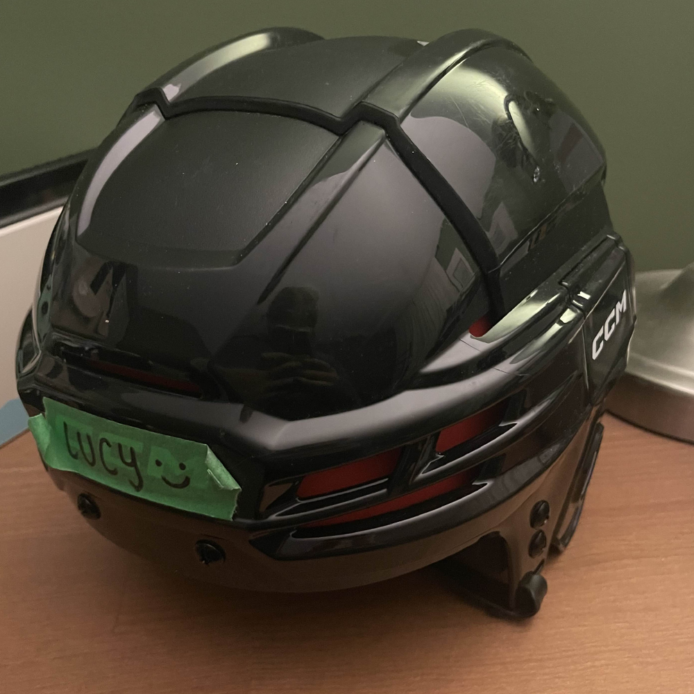 put a description here or you will lose grades